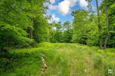 Lot 5 Hawk Ridge, Saranac Lake, NY 12983