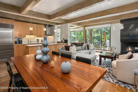1034 E Cooper Avenue, Aspen, CO 81611