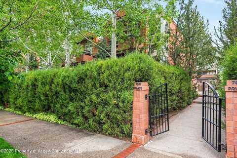 706 E Hyman Avenue, Aspen, CO 81611