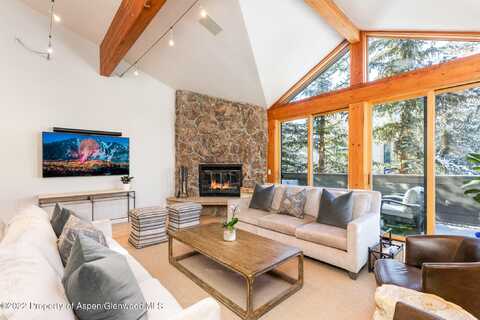 1015 E Hyman Avenue, Aspen, CO 81611