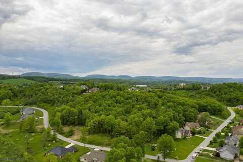 Lot # 98 Fox Hollow Subdivision Road, Duncansville, PA 16635