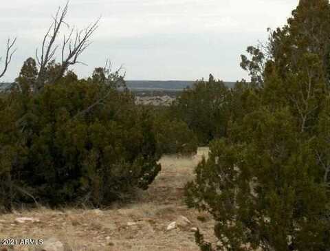 Lot 302 Chevelon Canyon Ranch --, Heber, AZ 85928