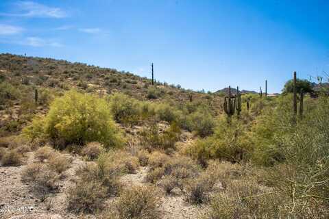11888 N SUNSET VISTA Drive, Fountain Hills, AZ 85268