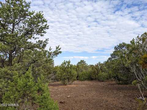 Lot 30 Ricks Road, Vernon, AZ 85940