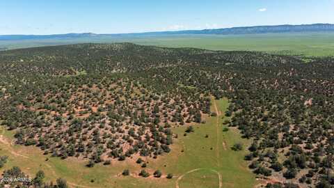 39.93 Acre W TITAN RANCH Road, Seligman, AZ 86337