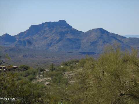 13801 N TIERRA DEL ORO Place, Fort McDowell, AZ 85264