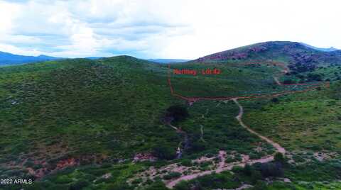 Lot 42 N Hidden Oaks Trail 39 acres --, Douglas, AZ 85607