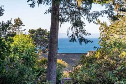 35387 Fly Cloud Road, The Sea Ranch, CA 95497