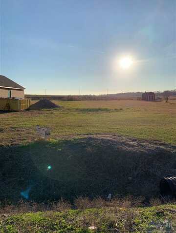 7223 HWY 182, Centerville, LA 70538