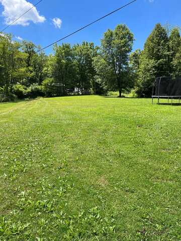 1765 MAPLEFORK ROAD, MT. HOPE, WV 25880