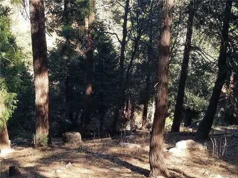 00987 Deer Run Road, Cedarpines Park, CA 92322