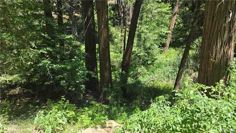 00987 Burnt Mill Canyon Rd, Cedarpines Park, CA 92322
