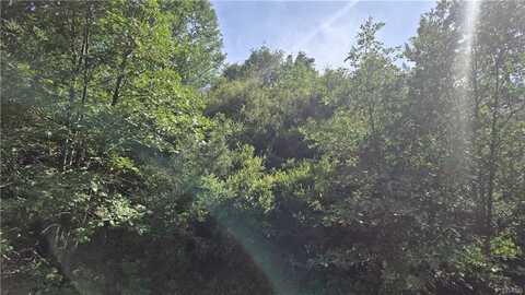 00987 Elder Drive, Cedar Glen, CA 92321