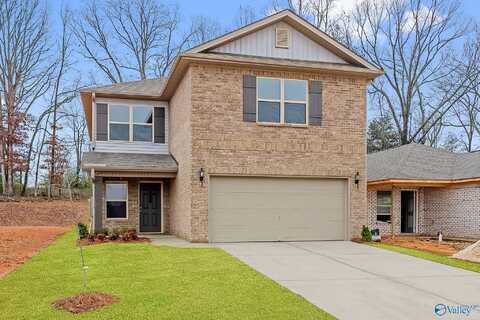 11113 Ravenel Drive, Harvest, AL 35749