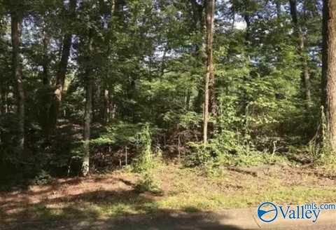 46 Acres Valley Trail, Warrior, AL 35180