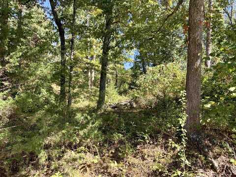 Lot 8 KIERRA PLACE, Mountain Home, AR 72653