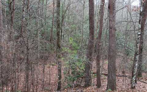 29 Coyote Cove, Hayesville, NC 28904