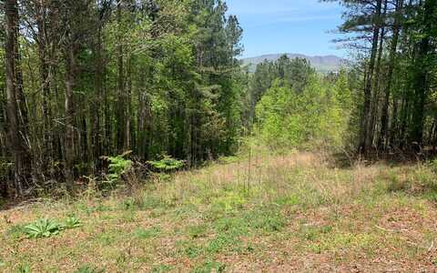 Lt 28 Loftis Mountain, Blairsville, GA 30512