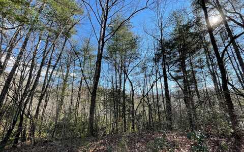 Lt 42 Granite Dr/Fires Crk, Hayesville, NC 28904