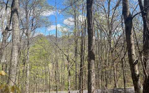 31a Mountain Harbour Drive, Hayesville, NC 28904