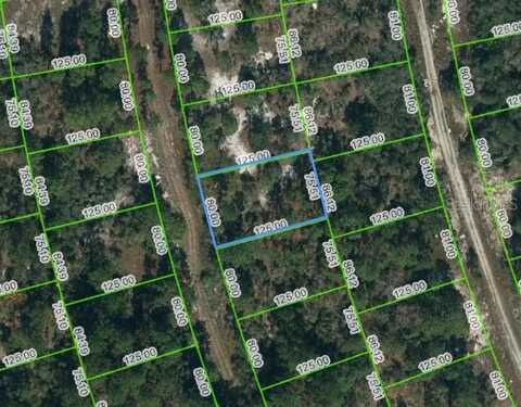 217 BLUE HORIZON DRIVE, LAKE PLACID, FL 33852