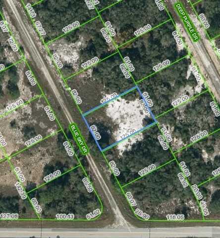 205 BLUE SKY DRIVE, LAKE PLACID, FL 33852