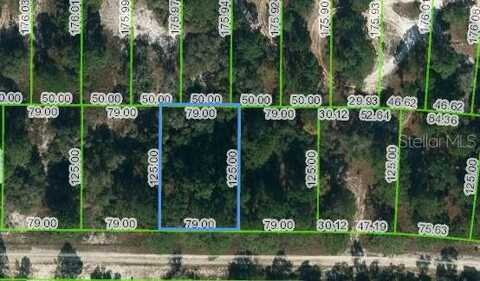 428 MORNINGSIDE DRIVE, LAKE PLACID, FL 33852