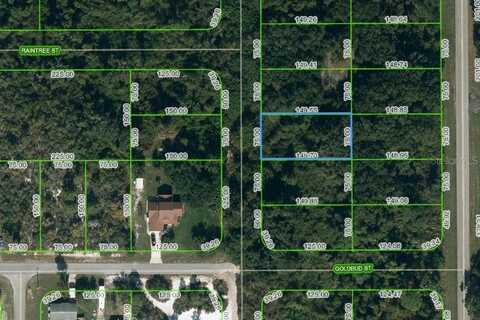 251 MARSHALL AVENUE, LAKE PLACID, FL 33852