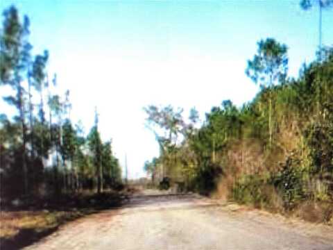 35 Acres MADISON MAIN LINE, PERRY, FL 32347