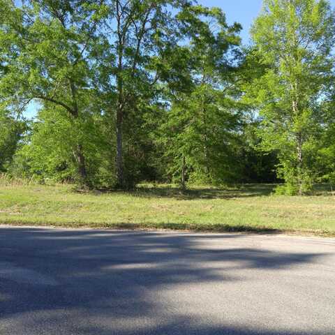 Lot 30 Winding Vale Drive, Poplarville, MS 39470