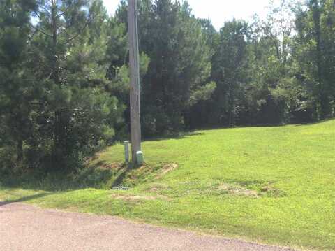 737 Forest Woods Drive, Byram, MS 39272