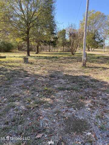 0 Smith Carr Road, Canton, MS 39046
