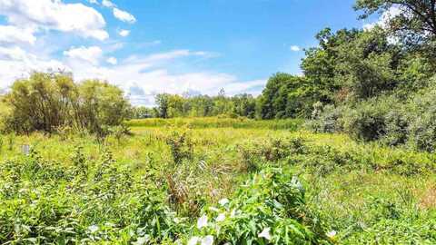 Lot 25 Northern Pintail, Hemlock, MI 48626