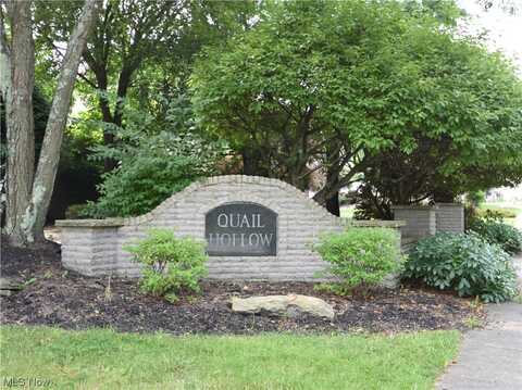 Saddlebrook Lot 154 Drive, Boardman, OH 44512