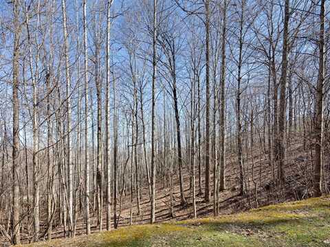 312 Boundary Tree Pass None, Arden, NC 28704