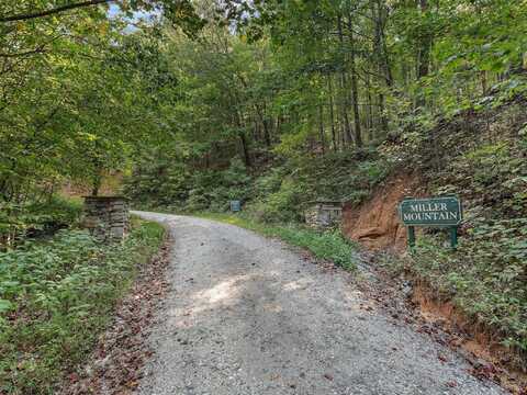 Miller Mountain Road lot: 23, Saluda, NC 28773
