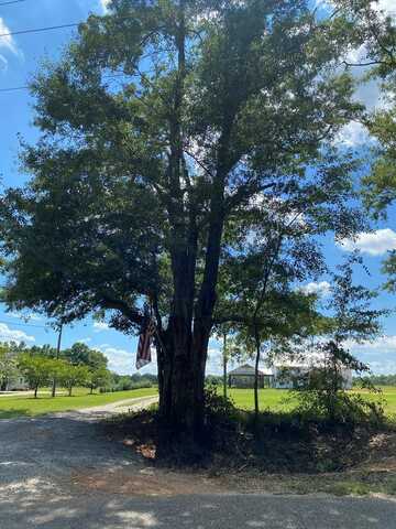 16+/-ac National Rd (16+-ac), Dothan, AL 36301