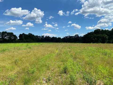 25.5+/-ac National Rd (25.5, Lot 1), Rehobeth, AL 36301