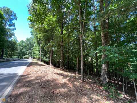 0000 Newport Drive, Ellijay, GA 30540