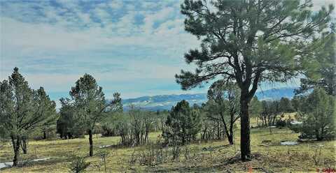 tbd S Badger Trail, Ridgway, CO 81432