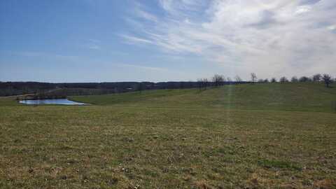 Lot 2 North Farm Road 61, Walnut Grove, MO 65770