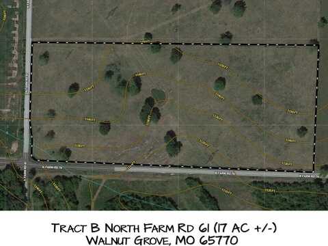 Tract B North Farm Road 61, Walnut Grove, MO 65770