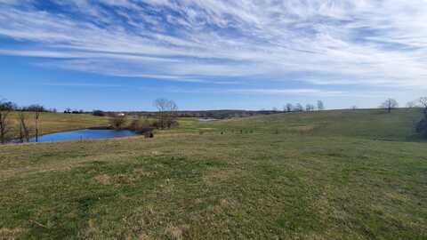 Lot 4 North Farm Road 61, Walnut Grove, MO 65770