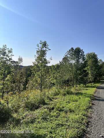 L11.116 Whitetail Mountain Road, Summit, NY 12175