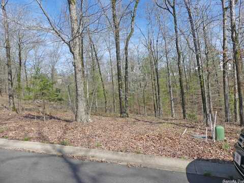 Lot 10 Rose Creek Court, Hot Springs, AR 71901