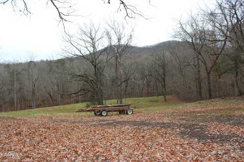 Will Patton Rd, Pall Mall, TN 38577