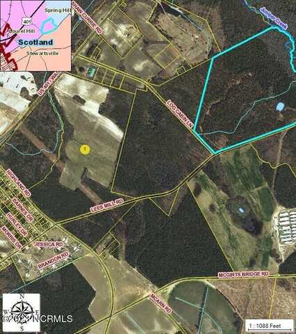 Tr 4 Wagram Road, Laurel Hill, NC 28351