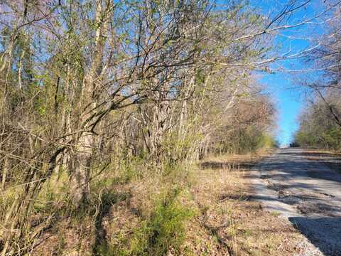 Lot 22 Moon Circle, Spring City, TN 37381