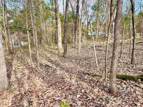 0 Nokomis Drive, Cherokee Village, AR 72513