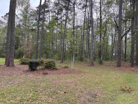 Lot 5 S Persimmon Ford Rd., Johnsonville, SC 29555